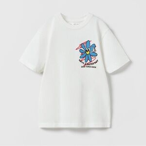 NWOT • Zara short sleeve t shirt • 8-9 years